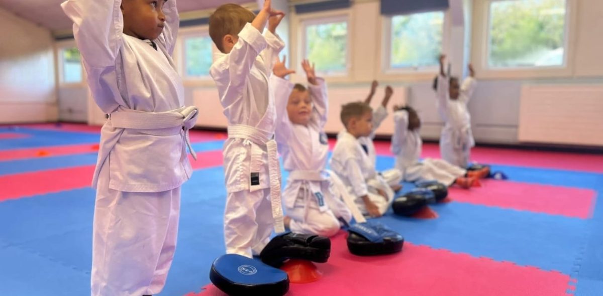 little tigers nmk